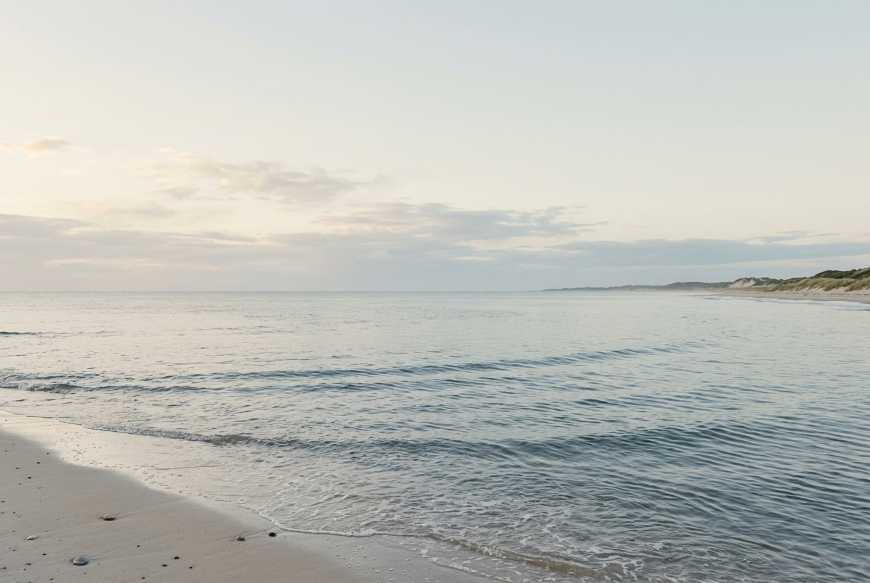 Calm, muted ocean water at dawn near Bondi Beach.